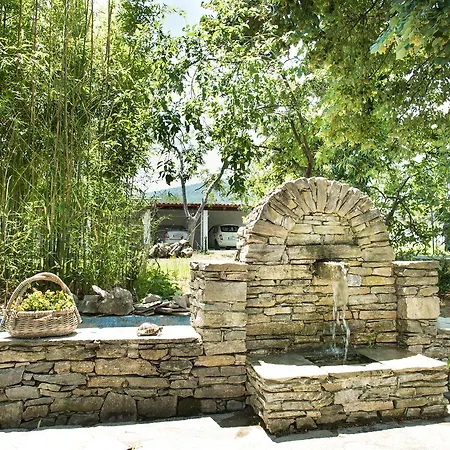 Villa Exotic Palm