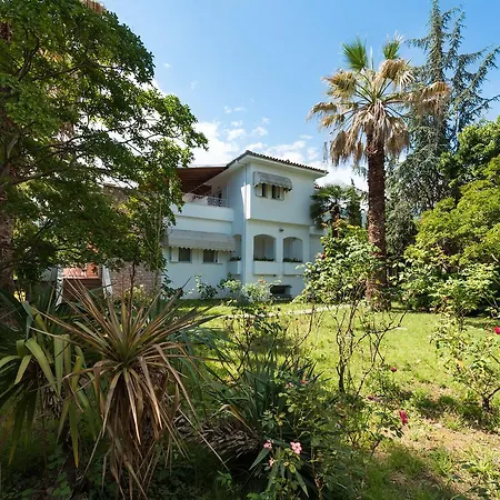 Exotic Palm Villa