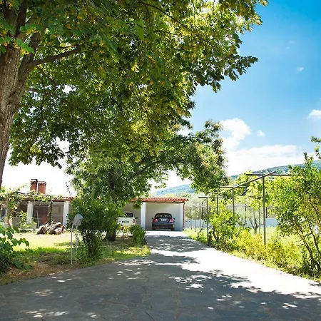 Villa Exotic Palm Skotina